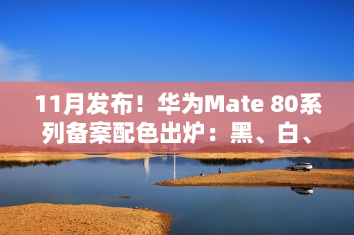 11月发布！华为Mate 80系列备案配色出炉：黑、白、紫、金、银全都有