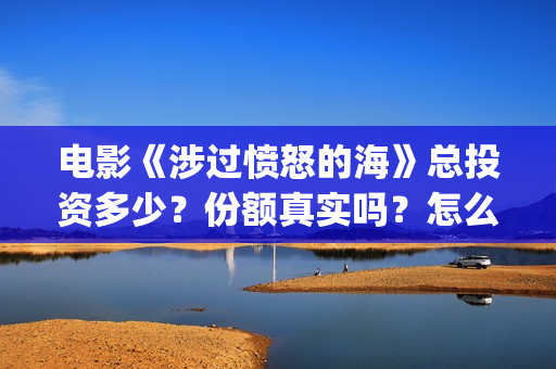 电影《涉过愤怒的海》总投资多少？份额真实吗？怎么参与投资？成本多(电影《涉过愤怒的海》免费观看)
