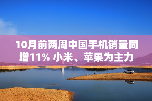 10月前两周中国手机销量同增11% 小米、苹果为主力 10月前两周中国手机销量同增11% 小米、苹果为主力