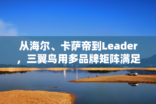 从海尔、卡萨帝到Leader，三翼鸟用多品牌矩阵满足中国家庭需求