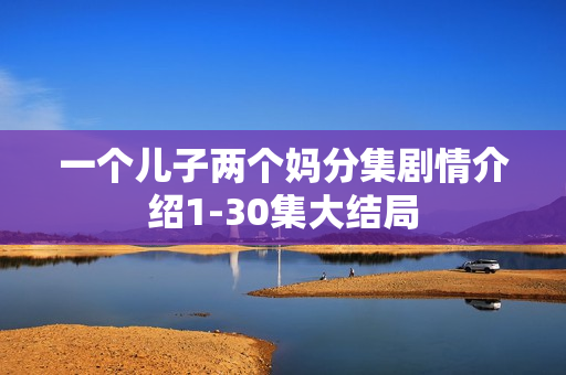 一个儿子两个妈分集剧情介绍1-30集大结局