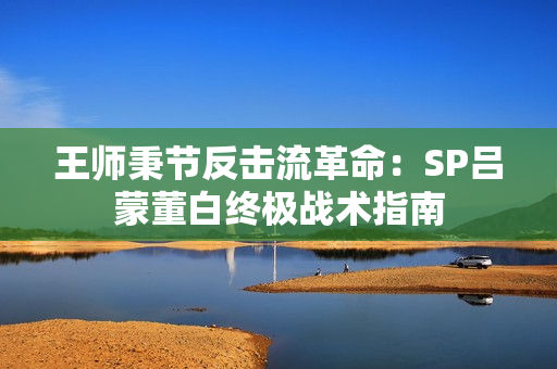 王师秉节反击流革命：SP吕蒙董白终极战术指南
