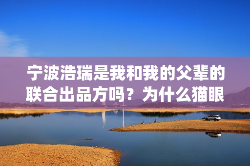 宁波浩瑞是我和我的父辈的联合出品方吗？为什么猫眼上没有？(宁波浩瑞气动)
