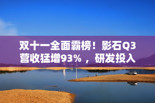 双十一全面霸榜！影石Q3营收猛增93% ，研发投入翻倍加码定制芯片