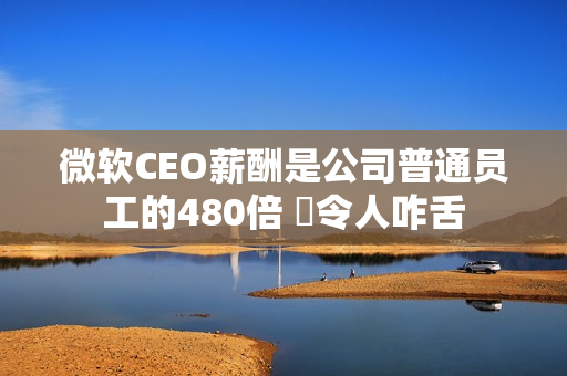微软CEO薪酬是公司普通员工的480倍 ‌令人咋舌