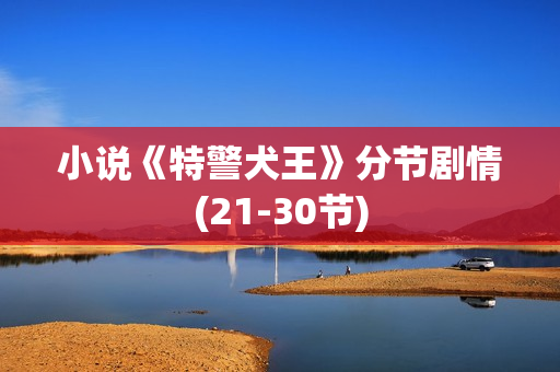 小说《特警犬王》分节剧情(21-30节) 小说《特警犬王》分节剧情(21-30节)