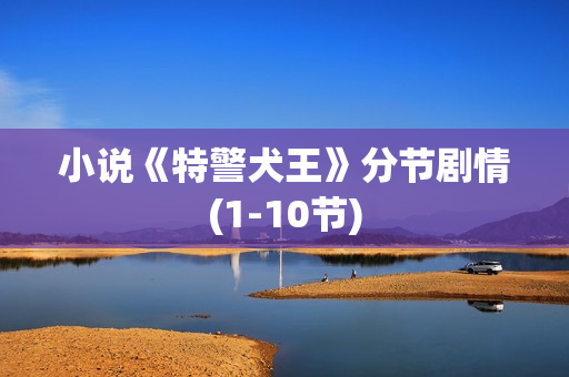 小说《特警犬王》分节剧情(1-10节)