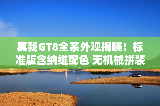 真我GT8全系外观揭晓!标准版含纳维配色 无机械拼装 真我GT8全系外观揭晓!标准版含纳维配色 无机械拼装