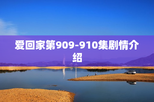 爱回家第909-910集剧情介绍