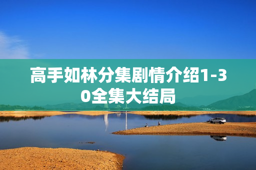 高手如林分集剧情介绍1-30全集大结局 高手如林分集剧情介绍1-30全集大结局