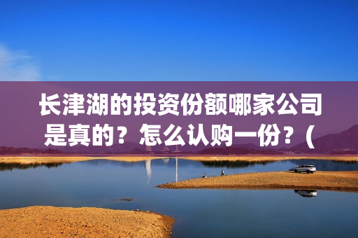 长津湖的投资份额哪家公司是真的？怎么认购一份？(长津湖投资了多少)