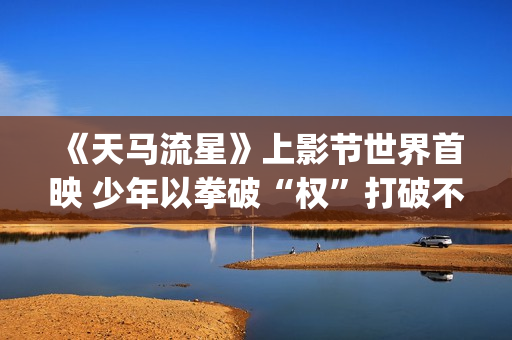 《天马流星》上影节世界首映 少年以拳破“权”打破不公！(天马流星拳的下一句是什么)