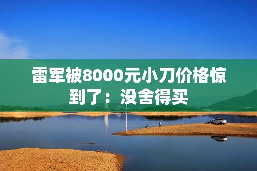 雷军被8000元小刀价格惊到了：没舍得买