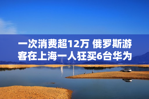 一次消费超12万 俄罗斯游客在上海一人狂买6台华为