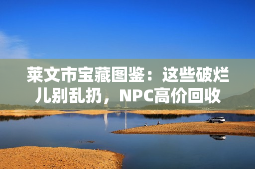 莱文市宝藏图鉴：这些破烂儿别乱扔，NPC高价回收