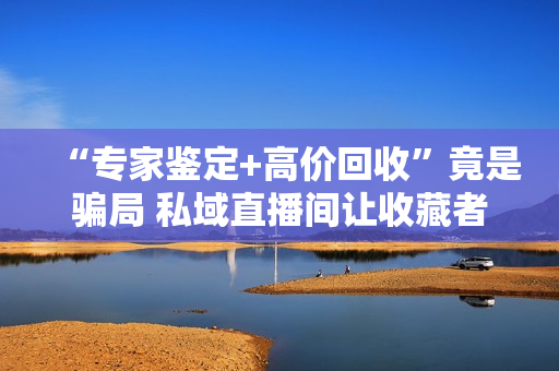 “专家鉴定+高价回收”竟是骗局 私域直播间让收藏者血本无归