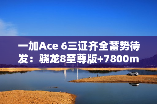 一加Ace 6三证齐全蓄势待发：骁龙8至尊版+7800mAh史上最大电池
