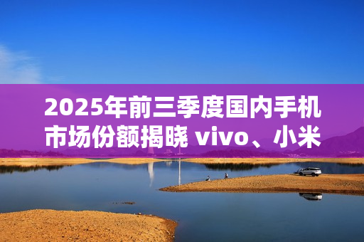 2025年前三季度国内手机市场份额揭晓 vivo、小米前二