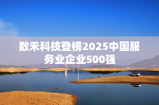 数禾科技登榜2025中国服务业企业500强