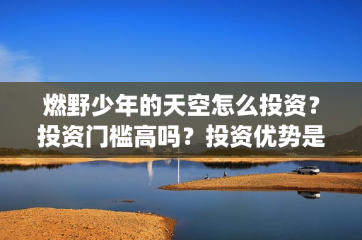 燃野少年的天空怎么投资？投资门槛高吗？投资优势是什么？(燃野少年的天空演员表介绍)