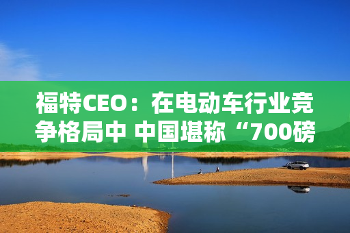 福特CEO:在电动车行业竞争格局中 中国堪称“700磅重大猩猩” 福特CEO:在电动车行业竞争格局中 中国堪称“700磅重大猩猩”
