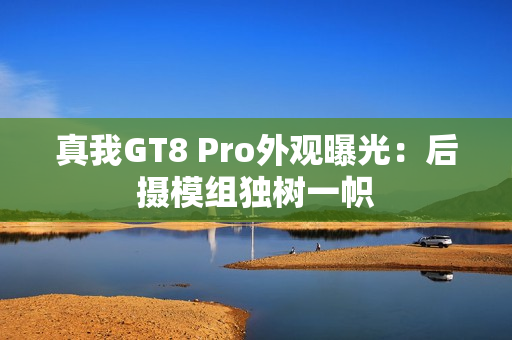 真我GT8 Pro外观曝光:后摄模组独树一帜 真我GT8 Pro外观曝光:后摄模组独树一帜