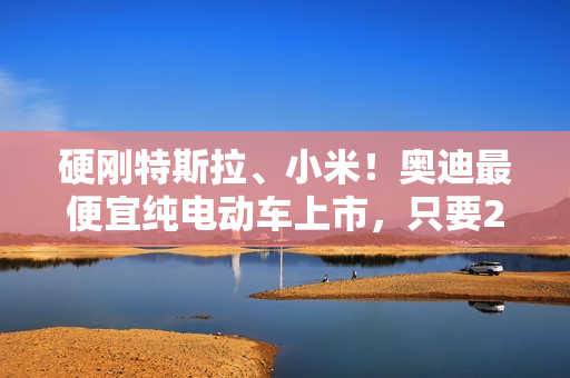 硬刚特斯拉、小米！奥迪最便宜纯电动车上市，只要23.59万元！