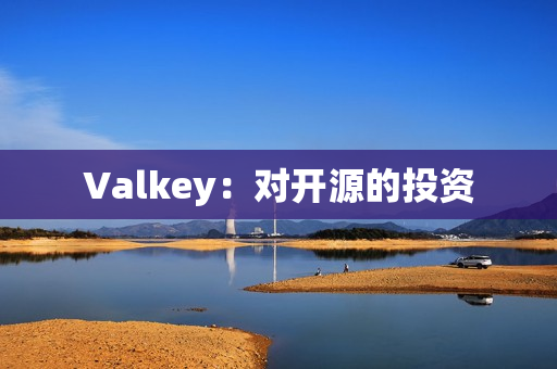 Valkey：对开源的投资
