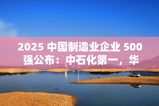 2025 中国制造业企业 500 强公布：中石化第一，华为、比亚迪前十