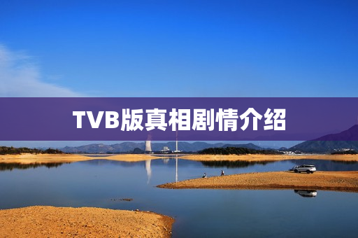 TVB版真相剧情介绍