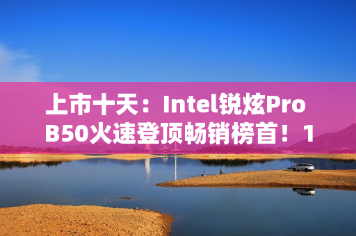 上市十天：Intel锐炫Pro B50火速登顶畅销榜首！16GB大显存2999元