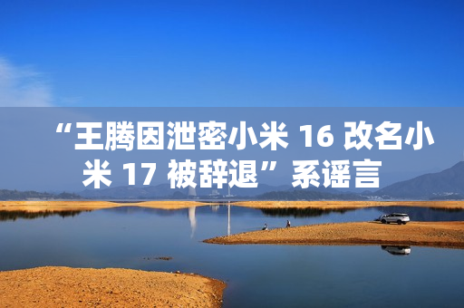 “王腾因泄密小米 16 改名小米 17 被辞退”系谣言