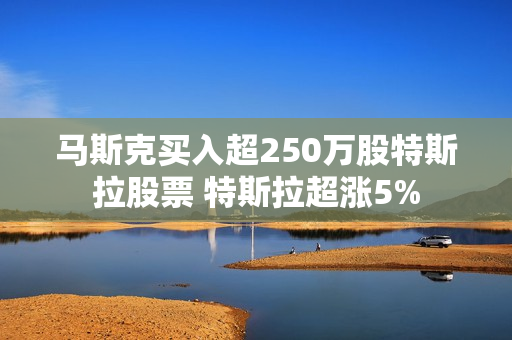 马斯克买入超250万股特斯拉股票 特斯拉超涨5%