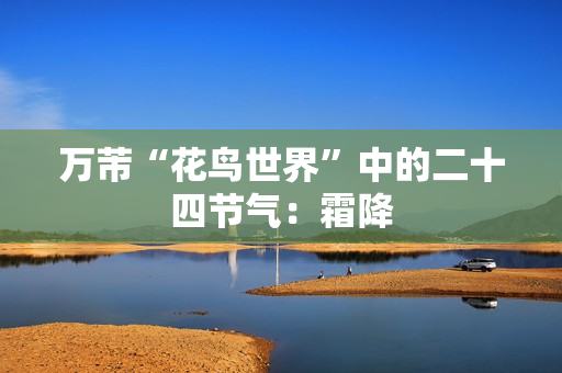 万芾“花鸟世界”中的二十四节气：霜降