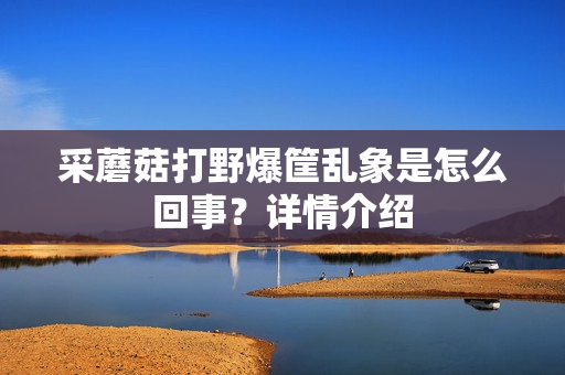 采蘑菇打野爆筐乱象是怎么回事？详情介绍