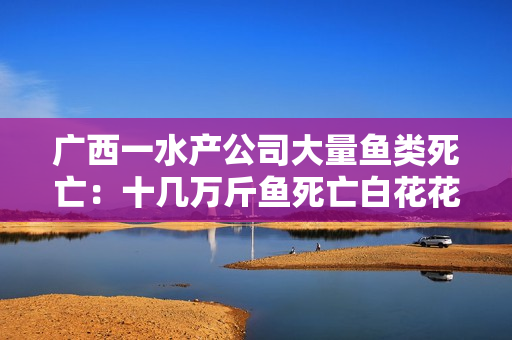 广西一水产公司大量鱼类死亡：十几万斤鱼死亡白花花铺满鱼塘