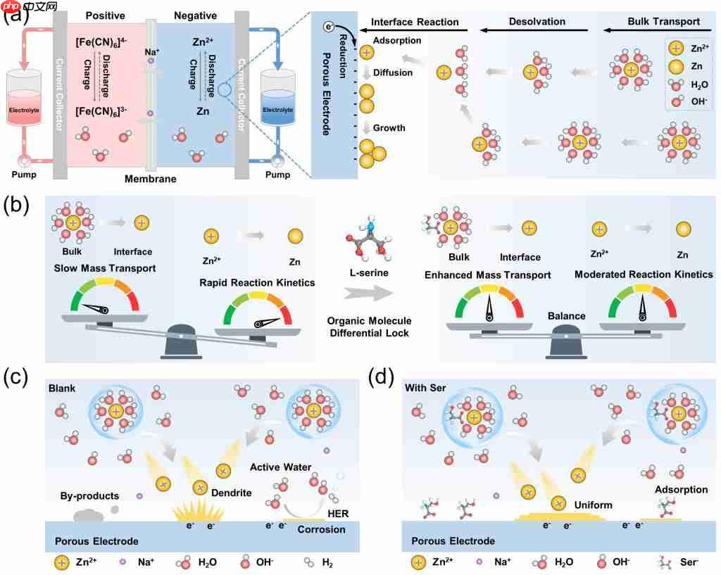 西安交大团队破解锌基电池寿命难题