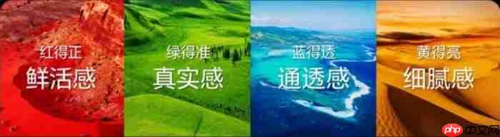 盘一盘新款RGB-MiniLed电视哪款值得买