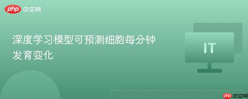 深度学习模型可预测细胞每分钟发育变化