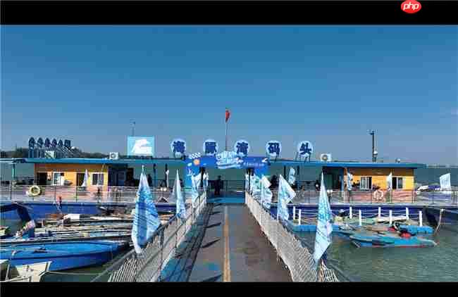 从参与到守护:镜头定格粉红色海豚,从全民寻“豚”到全民护“豚”