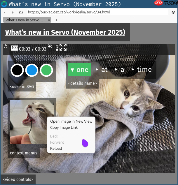 开源 Rust 浏览器引擎 Servo 0.0.3 发布，性能显著提升