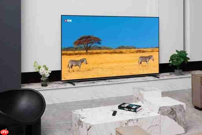 高端RGB-MiniLED电视哪款值得买?记住这三大机型,总有一款适合你