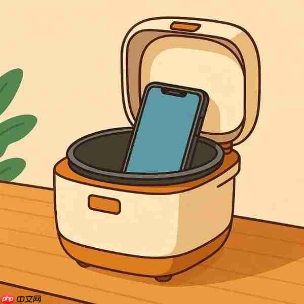 手机放电饭锅里 抢票成功率就会变高？