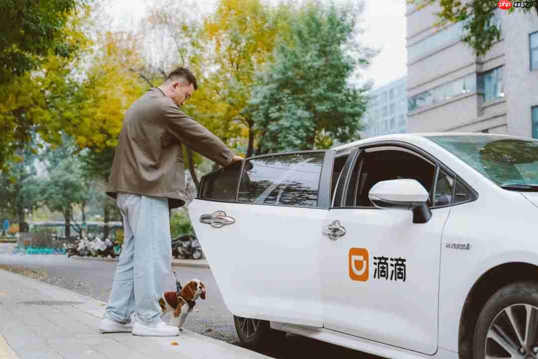 滴滴上线“宠物服务”,涵盖出行、上门喂遛和洗护等