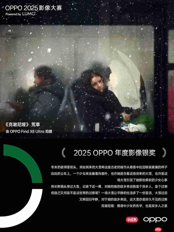 点亮感动时刻 OPPO 2025影像大赛获奖作品正式公布