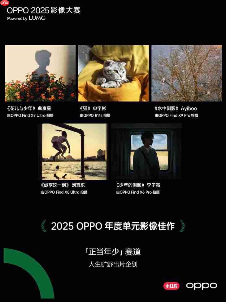 点亮感动时刻 OPPO 2025影像大赛获奖作品正式公布