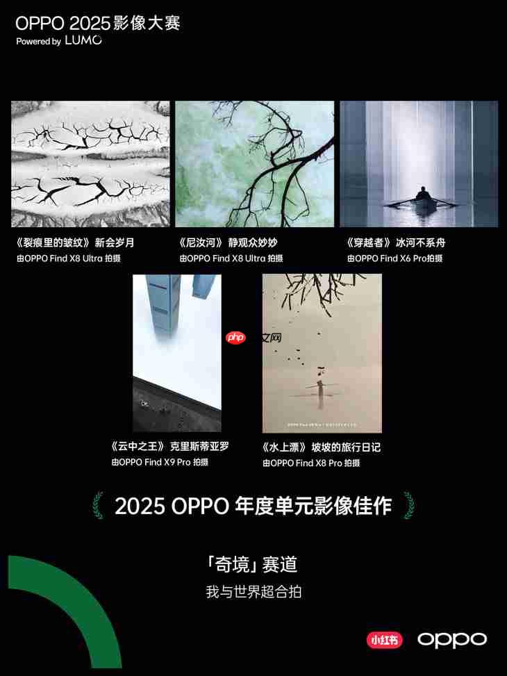 点亮感动时刻 OPPO 2025影像大赛获奖作品正式公布