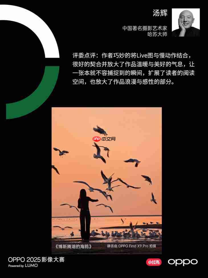 点亮感动时刻 OPPO 2025影像大赛获奖作品正式公布