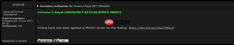 MKDEV团队《P5皇家版》D加密攻破程序测试版