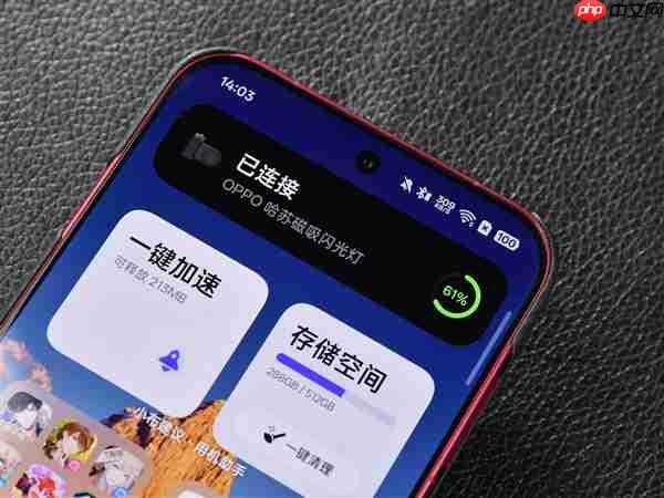 OPPO哈苏磁吸闪补光环灯上手：199元闭眼入